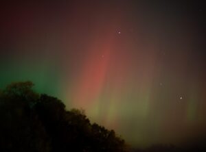 bronwin aurora naked