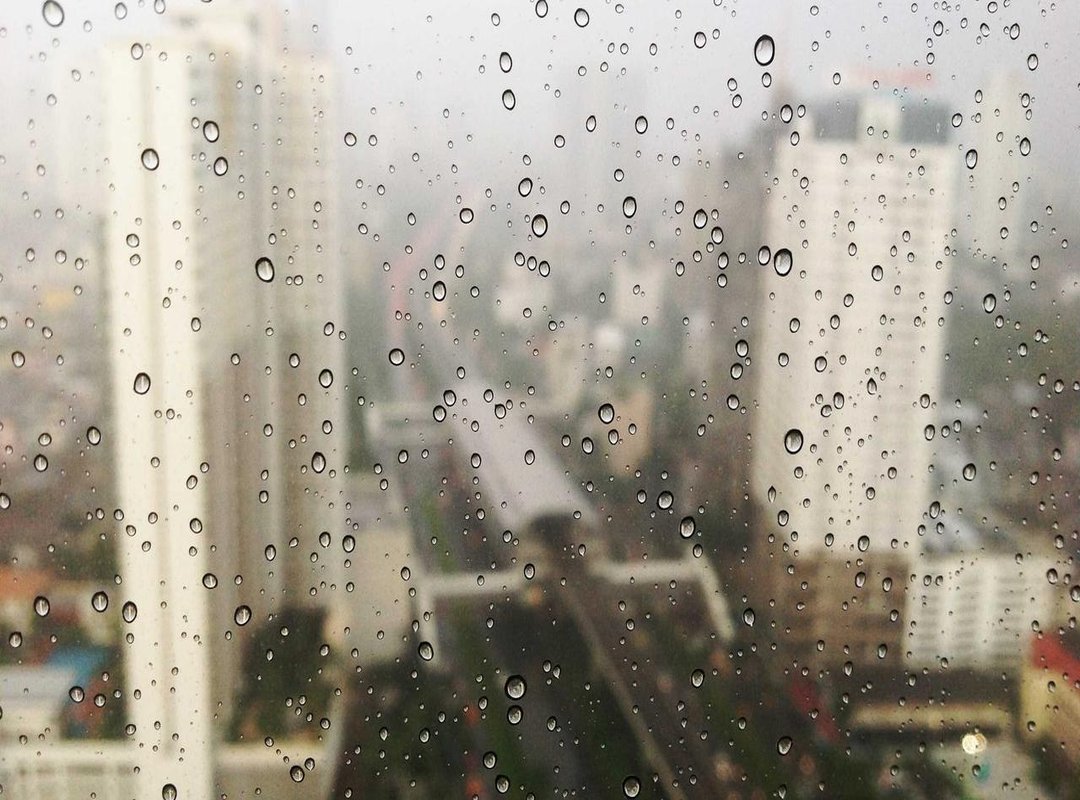 Community Fallout: Player Reactions and the Impact on the Game