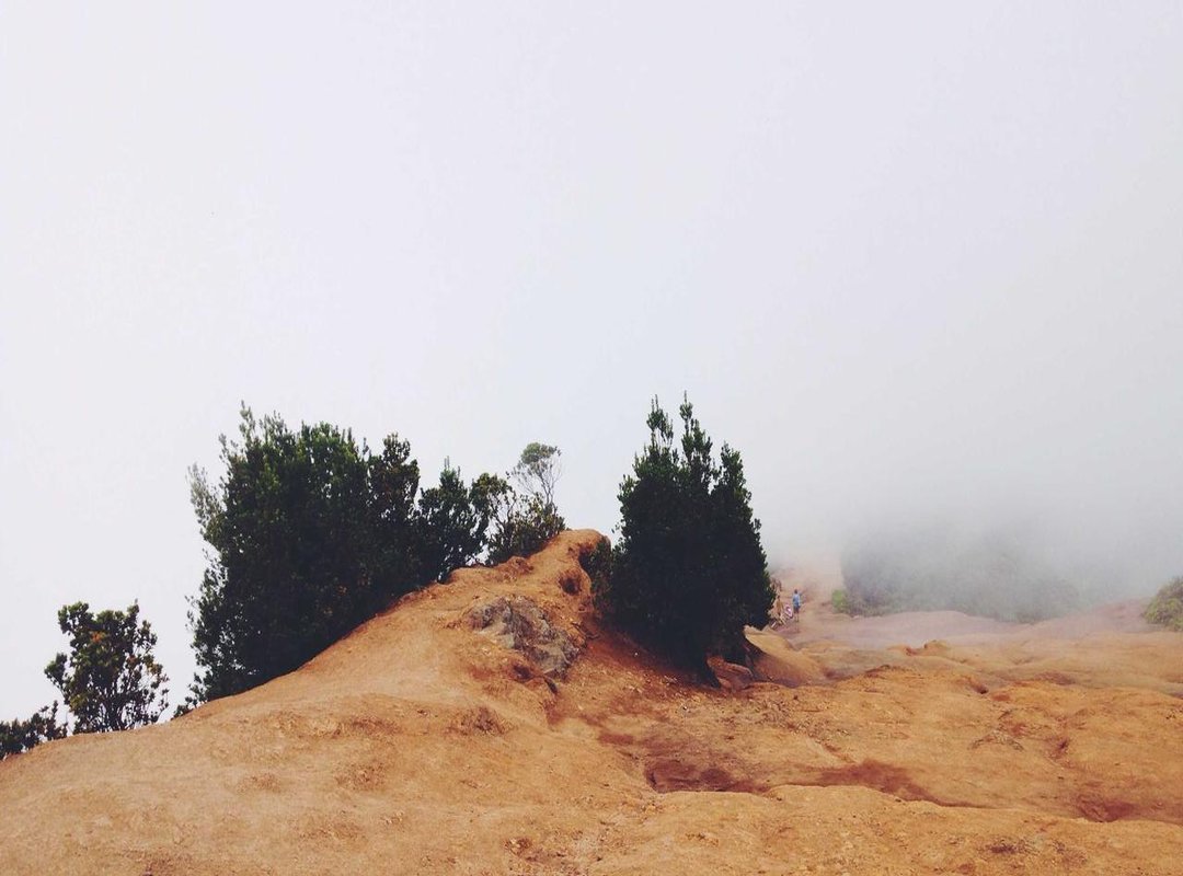 How to Use imgrsc.ru: A Step-by-Step Guide