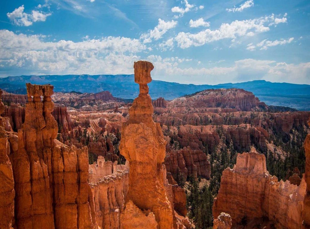 The Appeal of Kawaii: Why This Hello Kitty Resonates with Fans