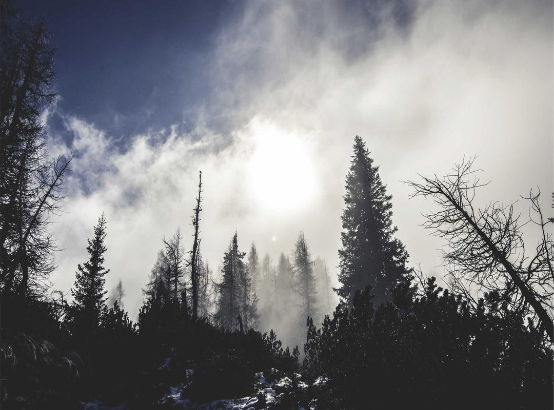 Installation Essentials: How to Ensure Your Shade Sail Lasts